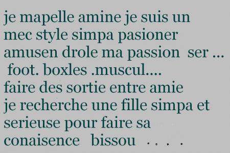 voici ma vie lol ......