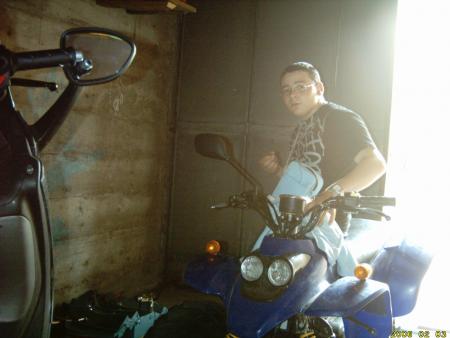moi et mon koid